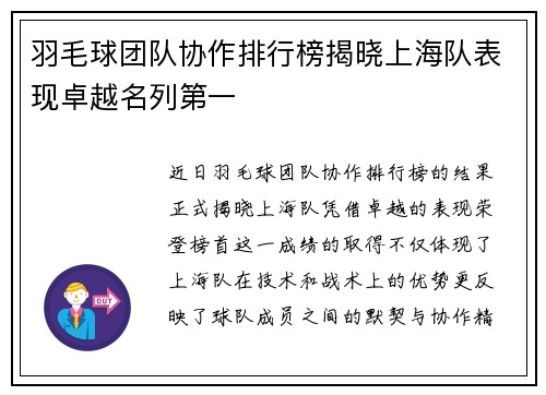 羽毛球团队协作排行榜揭晓上海队表现卓越名列第一