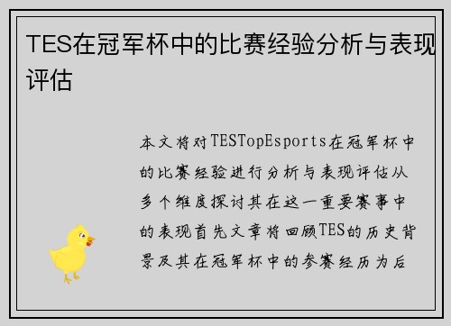 TES在冠军杯中的比赛经验分析与表现评估